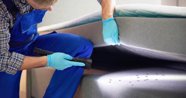 Best Bed Bug Extermination  in High Point, FL
